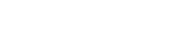 ALTYN NUSGA
